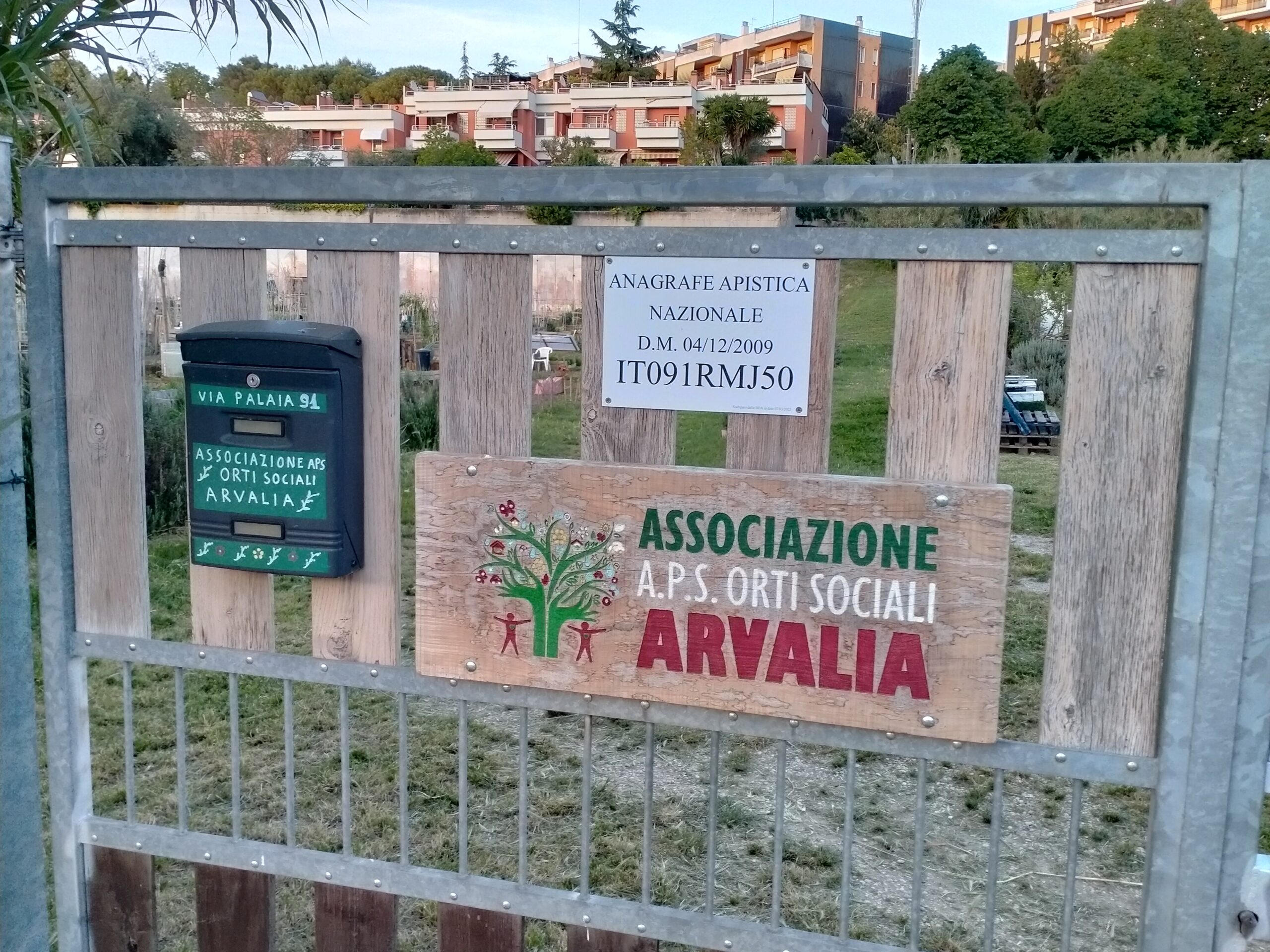 Un apiario urbano agli Orti Sociali Arvalia