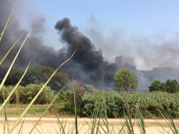 Risposta dei prelievi orticoli dopo l l’incendio di rifiuti tossici al Tevere Magliana