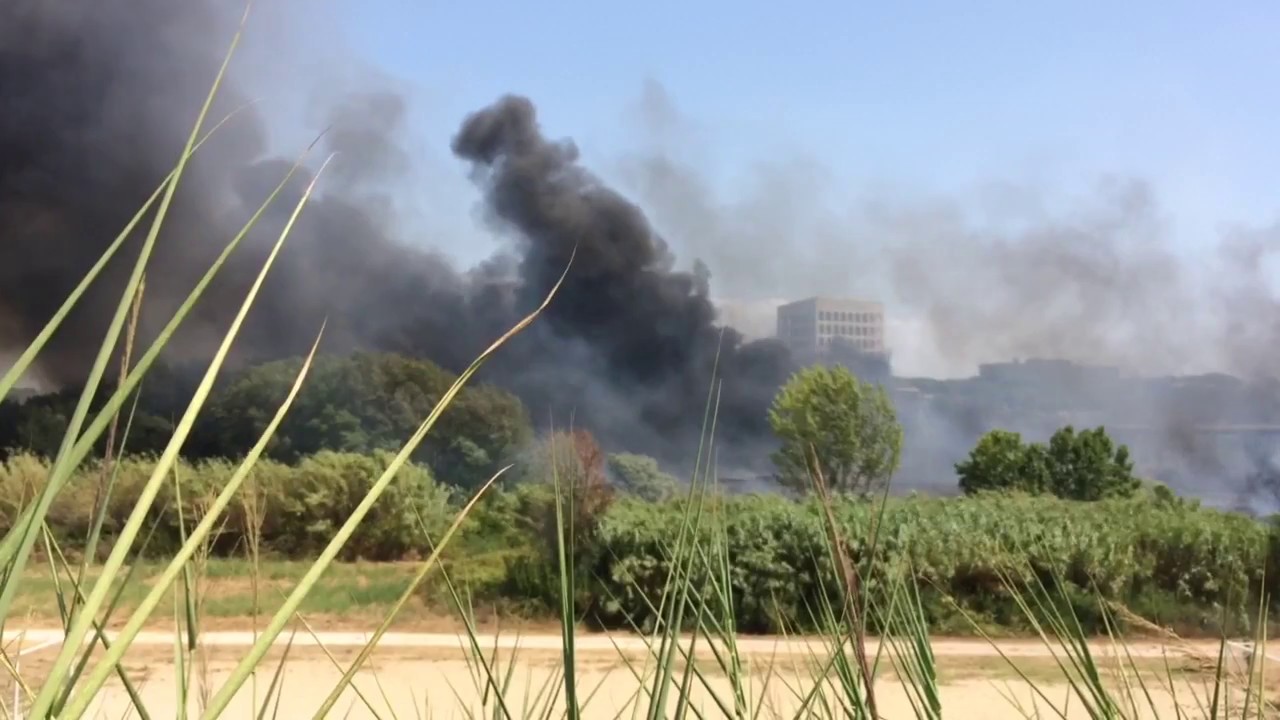 Risposta dei prelievi orticoli dopo l l’incendio di rifiuti tossici al Tevere Magliana